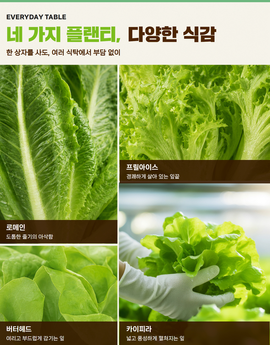 전북생생장터-김제 유러피안 샐러드 통야채 4종 1kg 6.jpg